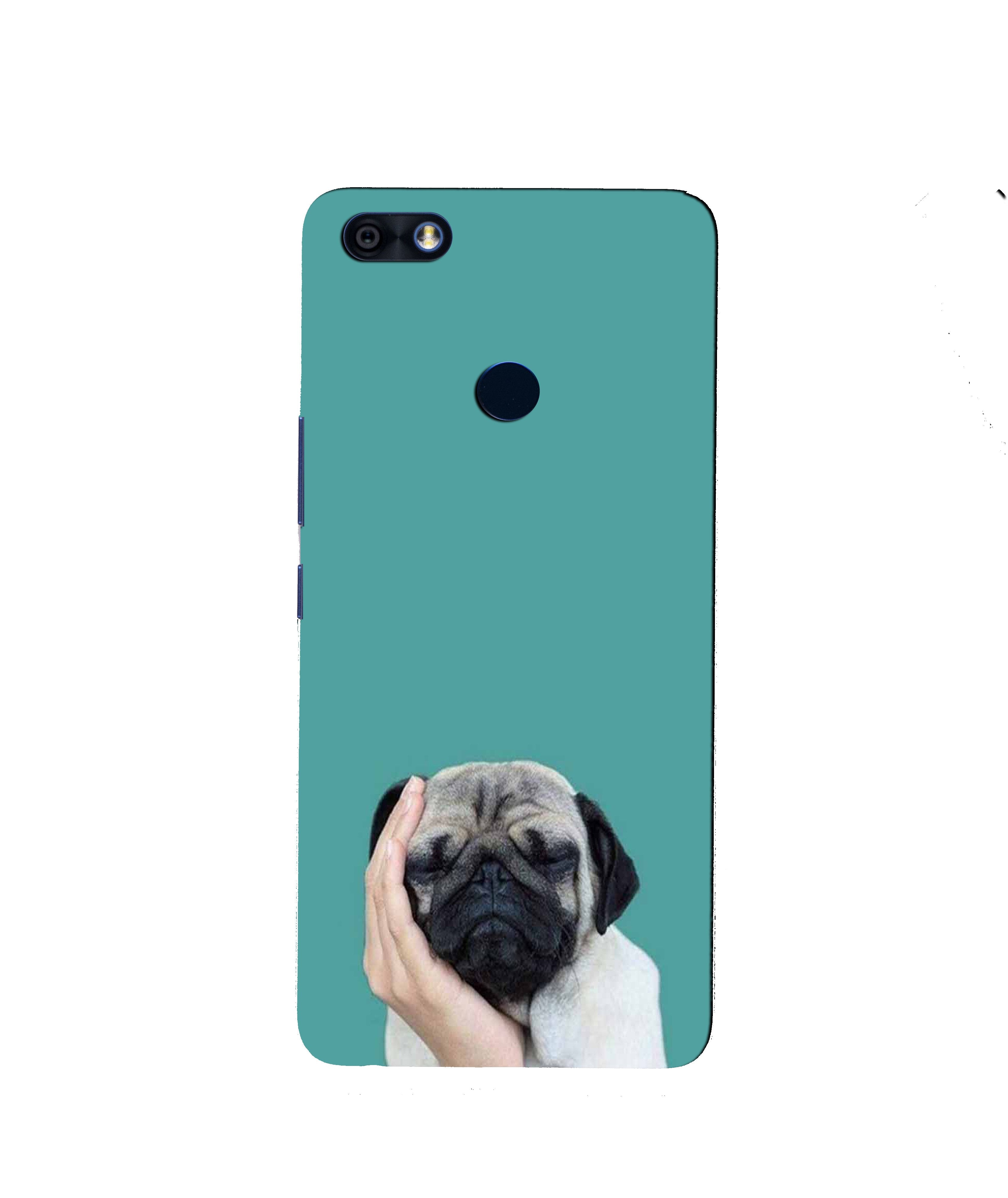 Puppy Mobile Back Case for Infinix Note 5 / Note 5 Pro (Design - 333) Puppy Mobile Back Case for Infinix Note 5 / Note 5 Pro (Design - 333)