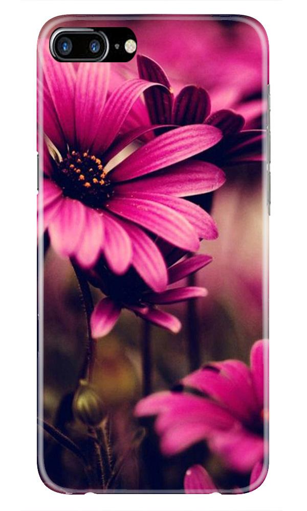 Purple Daisy Mobile Back Case for iPhone 7 Plus (Design - 65) Purple Daisy Case for iPhone 7 Plus