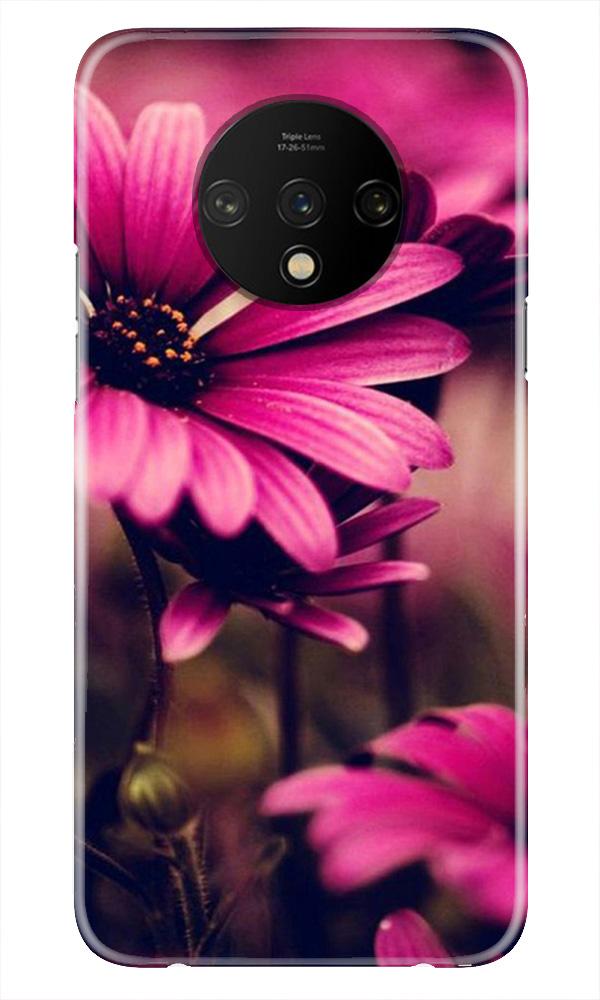 Purple Daisy Mobile Back Case for OnePlus 7T (Design - 65) Purple Daisy Case for OnePlus 7T