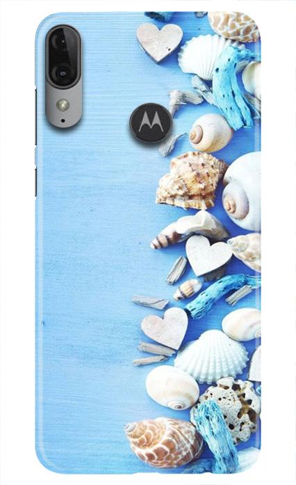Sea Shells2 Mobile Back Case for Moto E6s (Design - 64) Sea Shells2 Case for Moto E6s