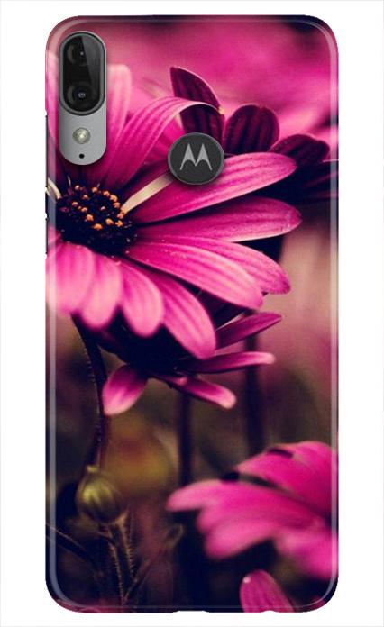 Purple Daisy Mobile Back Case for Moto E6s (Design - 65) Purple Daisy Case for Moto E6s