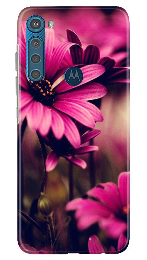 Purple Daisy Mobile Back Case for Moto One Fusion Plus (Design - 65) Purple Daisy Case for Moto One Fusion Plus