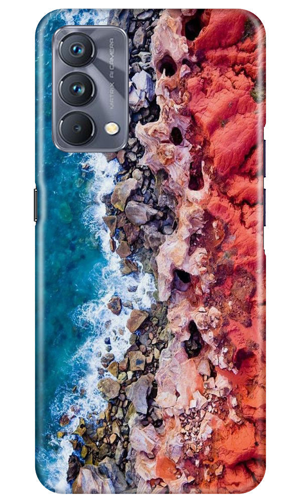 Lion Mobile Back Case for Realme GT 5G Master Edition (Design - 241) Lion Case for Realme GT 5G Master Edition (Design No. 241)