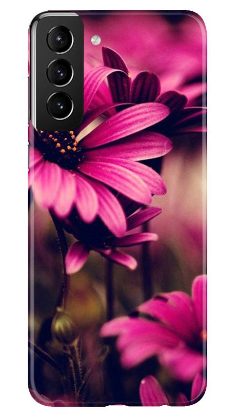 Purple Daisy Mobile Back Case for Samsung Galaxy S21 5G (Design - 65) Purple Daisy Case for Samsung Galaxy S21 5G