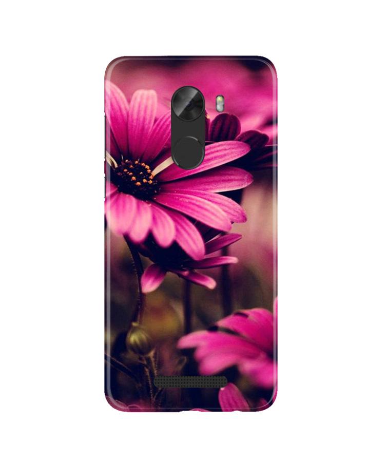 Purple Daisy Mobile Back Case for Gionee A1 Lite (Design - 65) Purple Daisy Case for Gionee A1 Lite