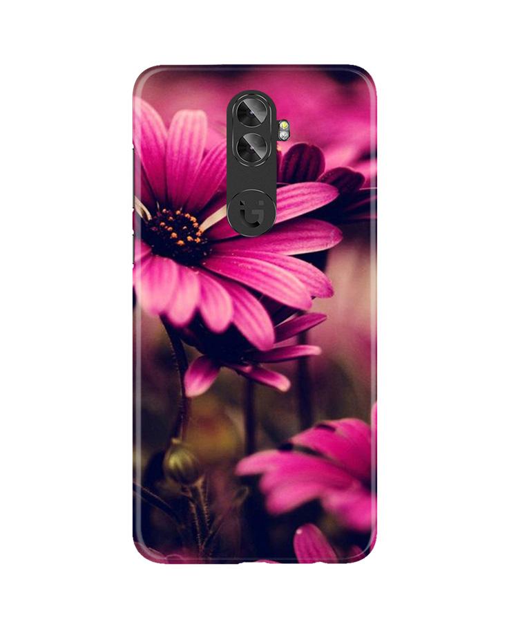 Purple Daisy Mobile Back Case for Gionee A1 Plus (Design - 65) Purple Daisy Case for Gionee A1 Plus