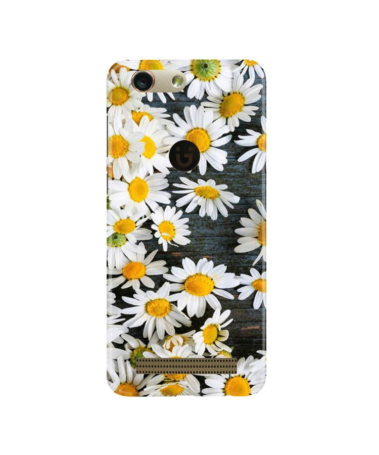 White flowers2 Mobile Back Case for Gionee F103 Pro (Design - 62) White flowers2 Case for Gionee F103 Pro