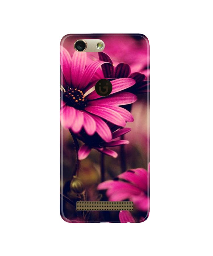 Purple Daisy Mobile Back Case for Gionee F103 Pro (Design - 65) Purple Daisy Case for Gionee F103 Pro