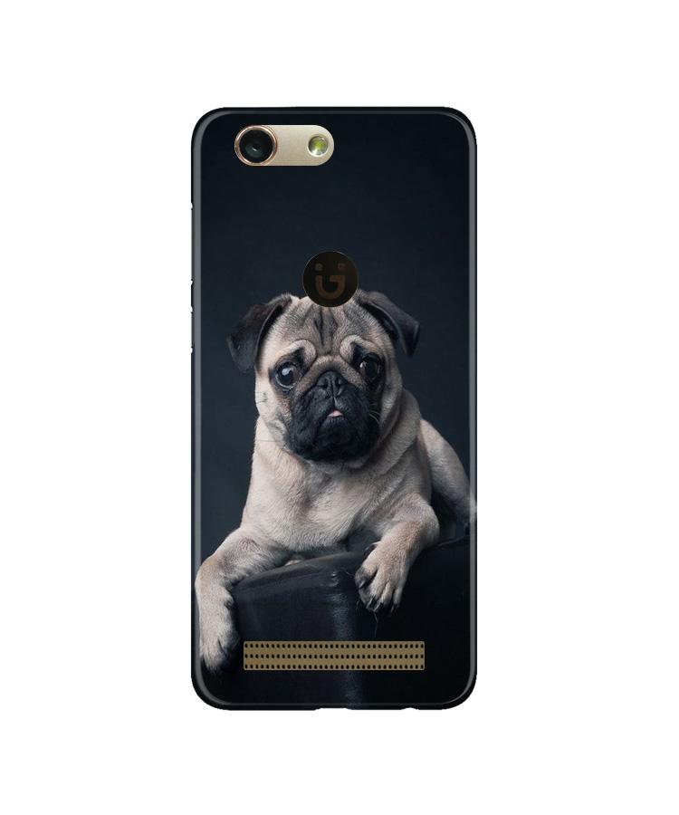 little Puppy Mobile Back Case for Gionee F103 Pro (Design - 68) little Puppy Case for Gionee F103 Pro