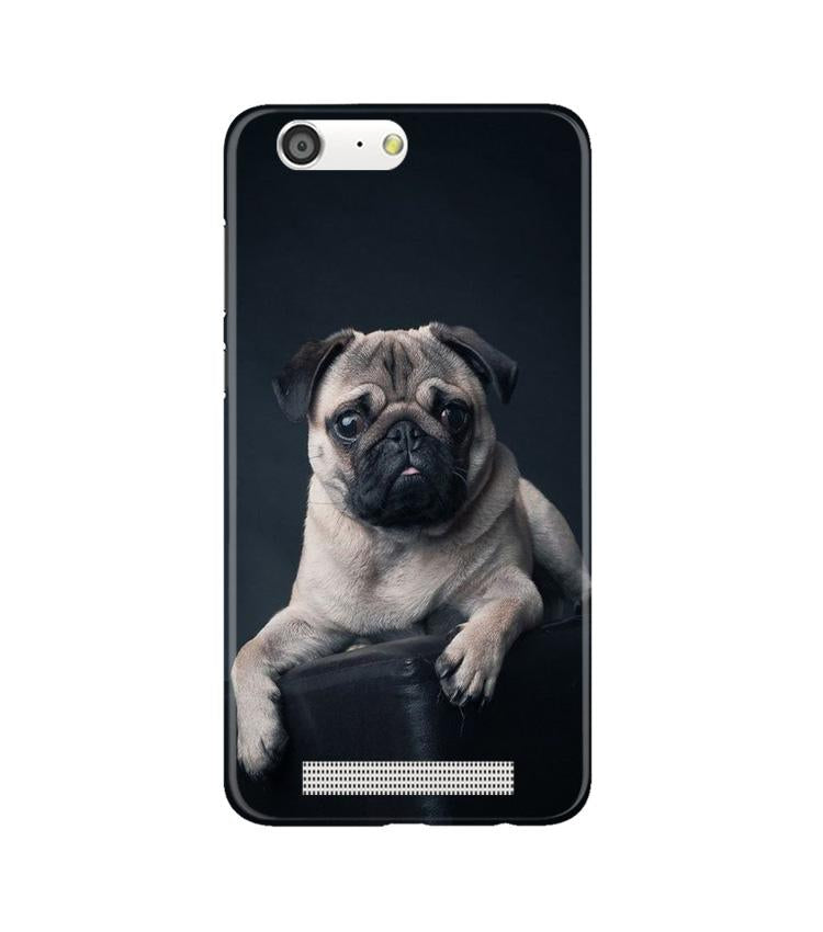 little Puppy Mobile Back Case for Gionee M5 (Design - 68) little Puppy Case for Gionee M5