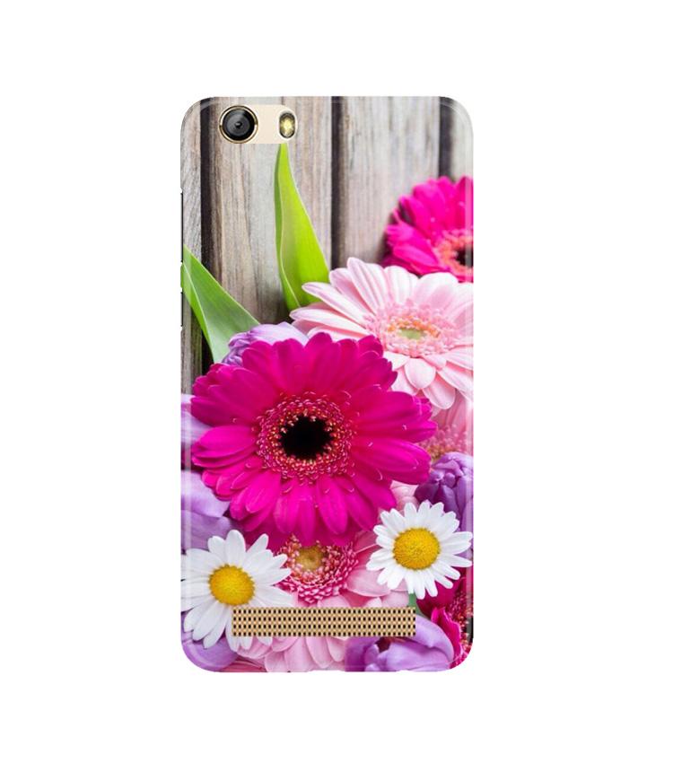 Coloful Daisy2 Mobile Back Case for Gionee M5 Lite (Design - 76) Coloful Daisy2 Case for Gionee M5 Lite