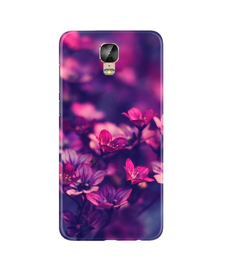 flowers Mobile Back Case for Gionee M5 Plus (Design - 25) flowers Case for Gionee M5 Plus