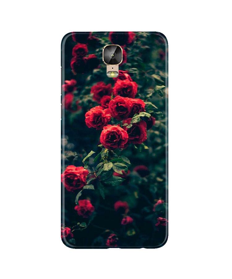 Red Rose Mobile Back Case for Gionee M5 Plus (Design - 66) Red Rose Case for Gionee M5 Plus