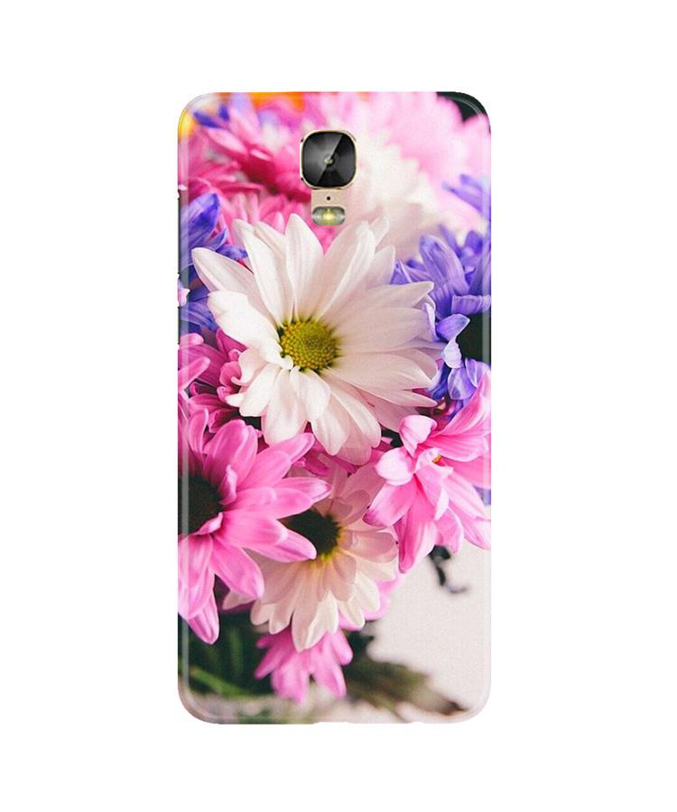 Coloful Daisy Mobile Back Case for Gionee M5 Plus (Design - 73) Coloful Daisy Case for Gionee M5 Plus