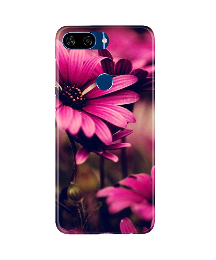 Purple Daisy Mobile Back Case for Gionee S11 Lite (Design - 65) Purple Daisy Case for Gionee S11 Lite