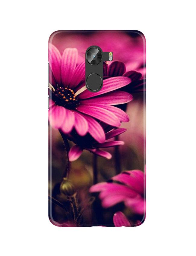 Purple Daisy Mobile Back Case for Gionee X1 / X1s (Design - 65) Purple Daisy Case for Gionee X1 / X1s