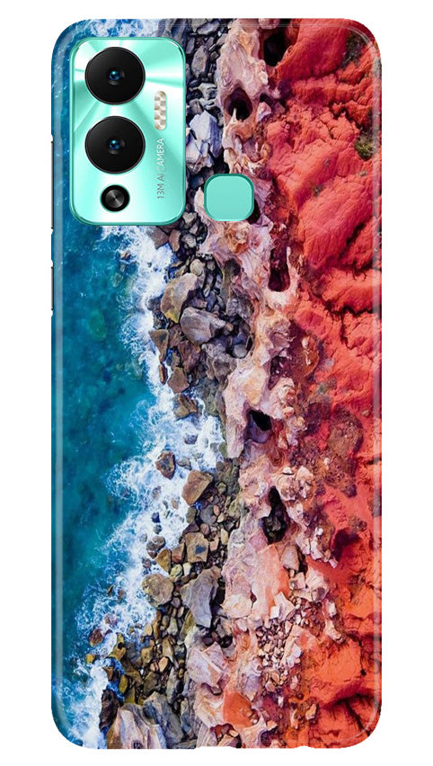 Lion Mobile Back Case for Infinix Hot 12 Play (Design - 241) Lion Case for Infinix Hot 12 Play (Design No. 241)