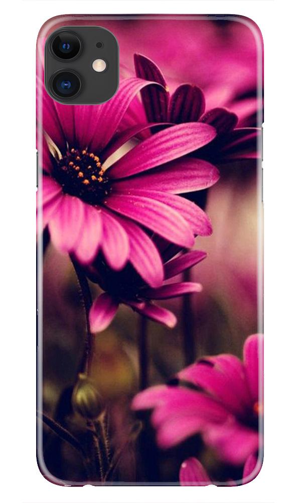 Purple Daisy Mobile Back Case for iPhone 11 (Design - 65) Purple Daisy Case for iPhone 11