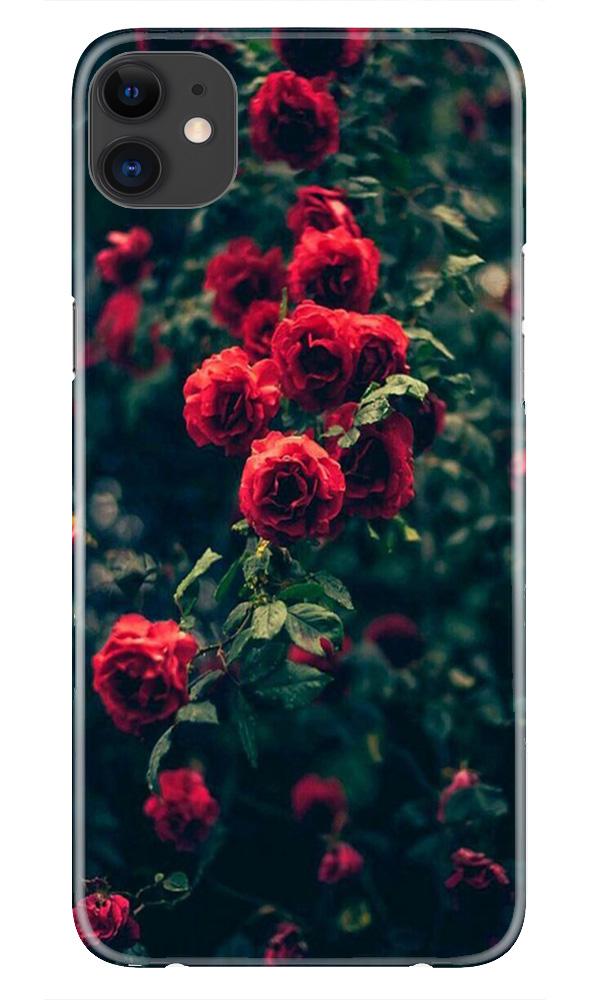 Red Rose Mobile Back Case for iPhone 11 (Design - 66) Red Rose Case for iPhone 11