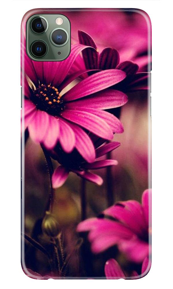 Purple Daisy Case for iPhone 11 Pro Purple Daisy Case for iPhone 11 Pro