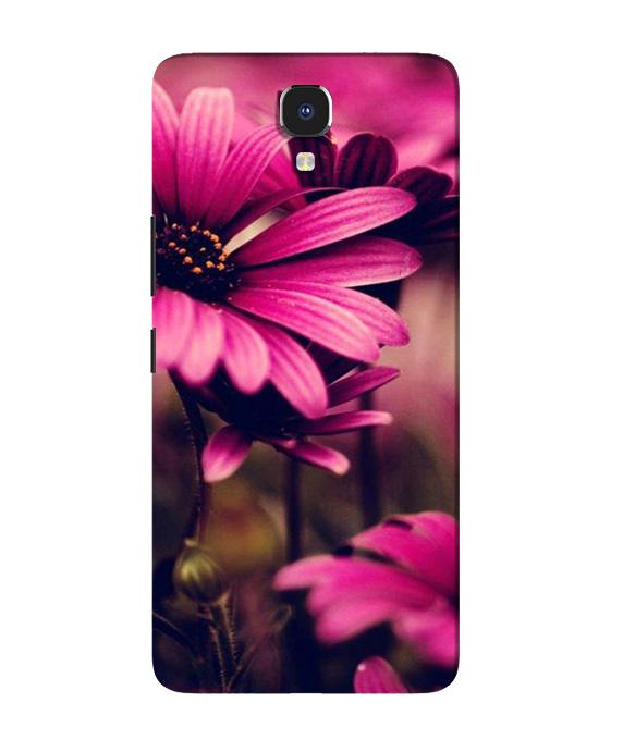 Purple Daisy Mobile Back Case for Infinix Note 4 (Design - 65) Purple Daisy Case for Infinix Note 4