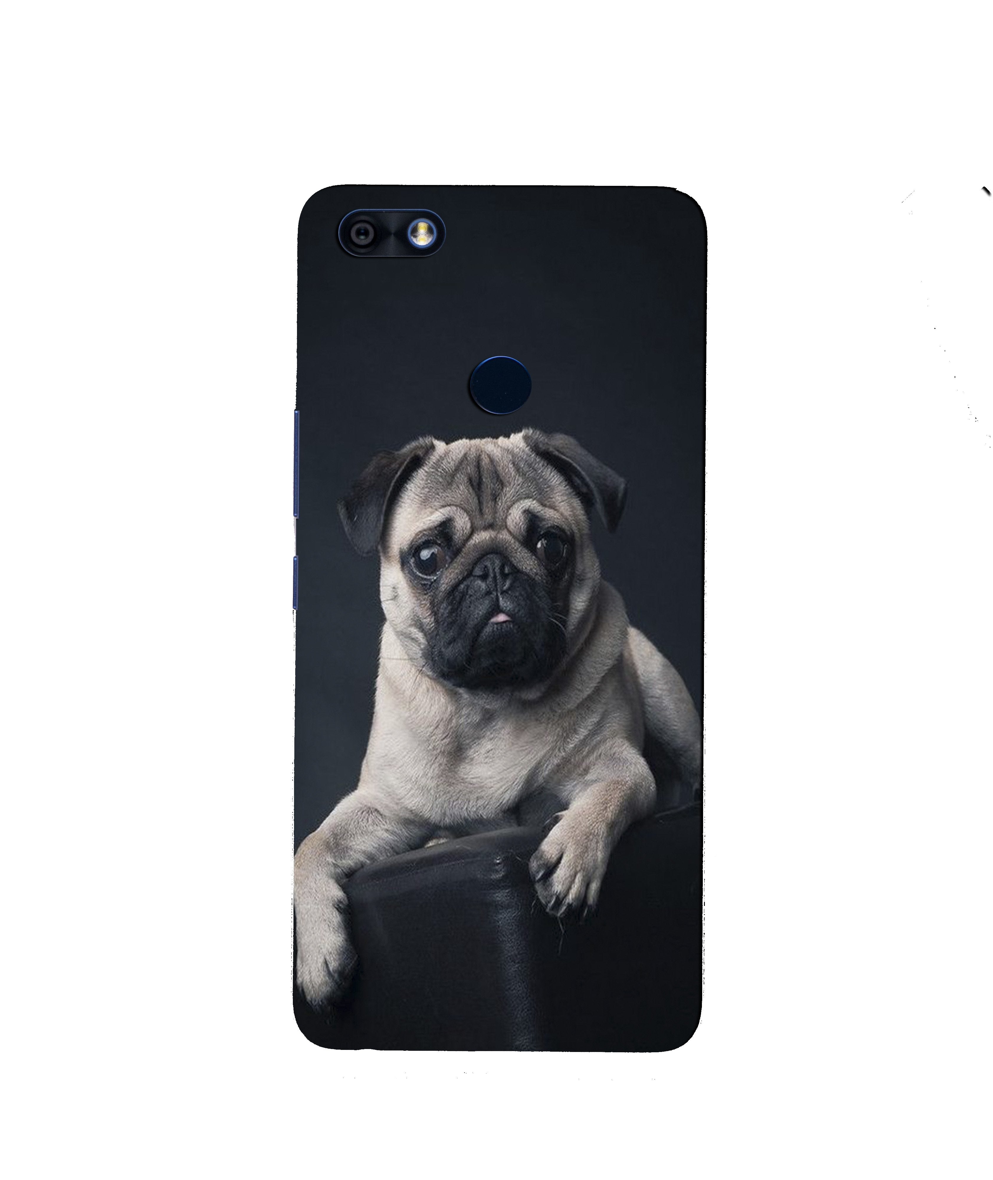 little Puppy Mobile Back Case for Infinix Note 5 / Note 5 Pro (Design - 68) little Puppy Case for Infinix Note 5 / Note 5 Pro