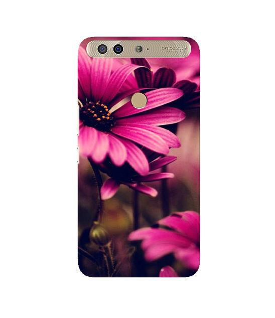 Purple Daisy Mobile Back Case for Infinix Zero 5 (Design - 65) Purple Daisy Case for Infinix Zero 5