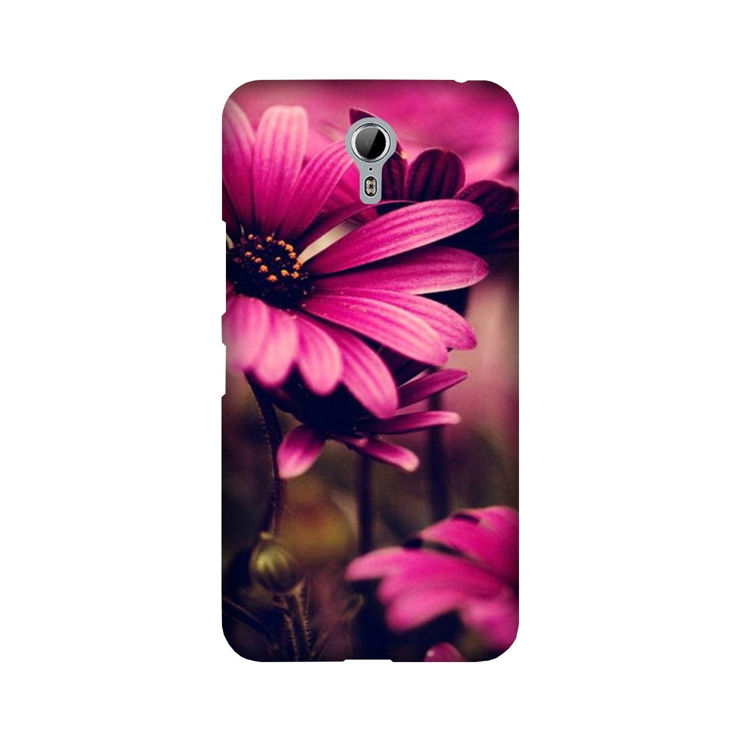 Purple Daisy Mobile Back Case for Lenovo Zuk Z1 (Design - 65) Purple Daisy Case for Lenovo Zuk Z1
