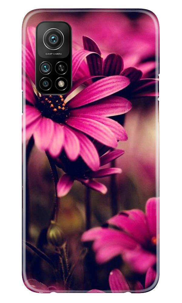 Purple Daisy Mobile Back Case for Mi 10T (Design - 65) Purple Daisy Case for Mi 10T