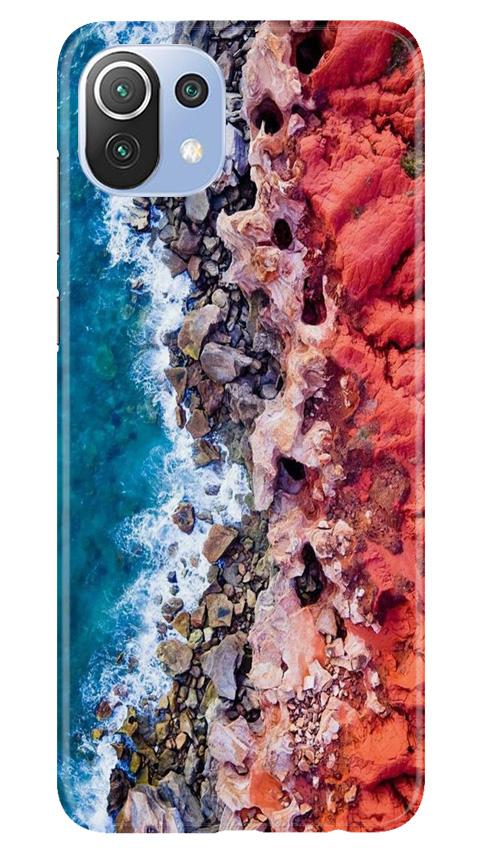 Sea Shore Mobile Back Case for Mi 11 Lite 5G (Design - 273) Sea Shore Case for Mi 11 Lite 5G (Design No. 273)