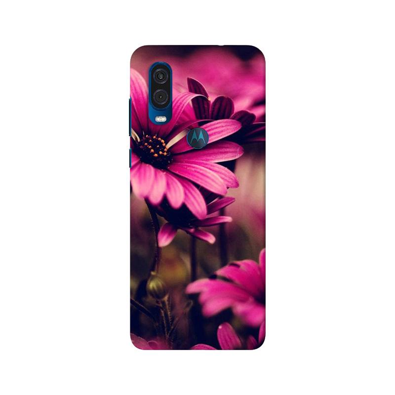 Purple Daisy Mobile Back Case for Moto One Vision (Design - 65) Purple Daisy Case for Moto One Vision
