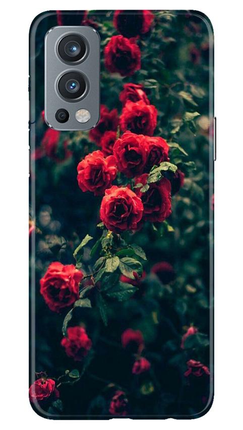 Red Rose Mobile Back Case for OnePlus Nord 2 5G (Design - 66) Red Rose Case for OnePlus Nord 2 5G