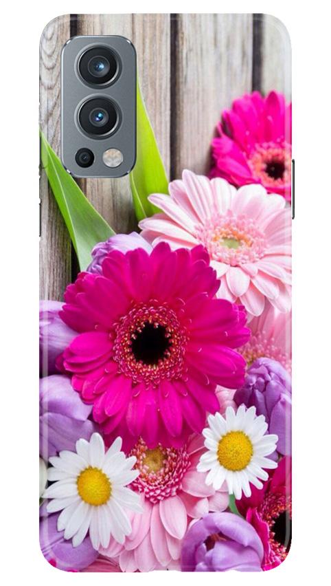 Coloful Daisy2 Mobile Back Case for OnePlus Nord 2 5G (Design - 76) Coloful Daisy2 Case for OnePlus Nord 2 5G
