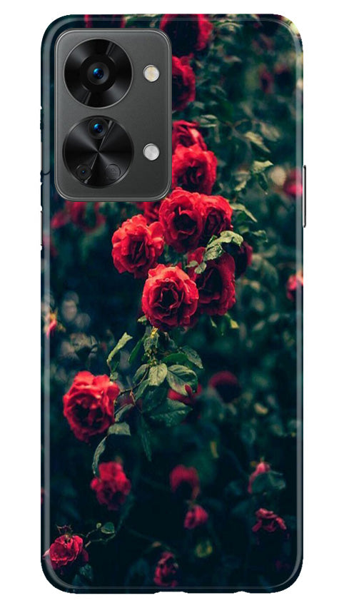 Red Rose Mobile Back Case for OnePlus Nord 2T 5G (Design - 66) Red Rose Case for OnePlus Nord 2T 5G