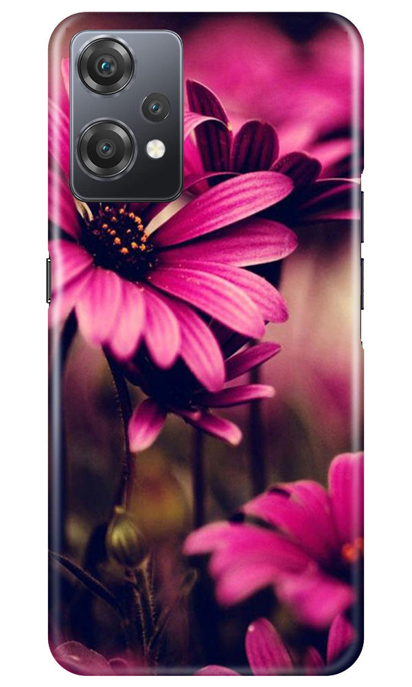 Purple Daisy Mobile Back Case for OnePlus Nord CE 2 Lite 5G (Design - 65) Purple Daisy Case for OnePlus Nord CE 2 Lite 5G