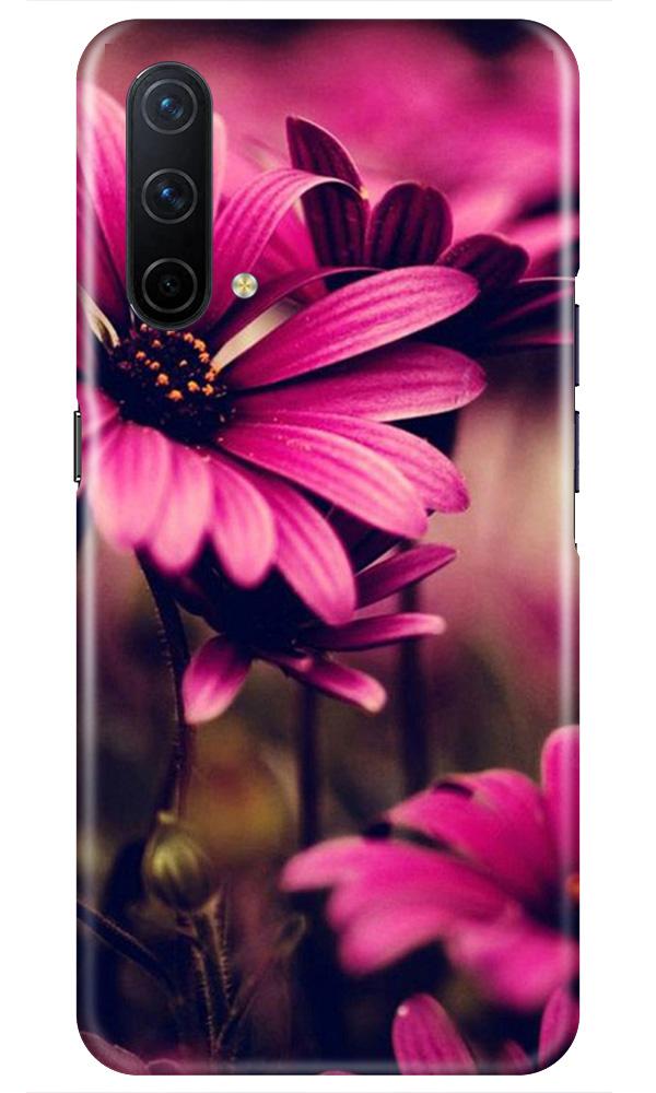 Purple Daisy Mobile Back Case for OnePlus Nord CE 5G (Design - 65) Purple Daisy Case for OnePlus Nord CE 5G