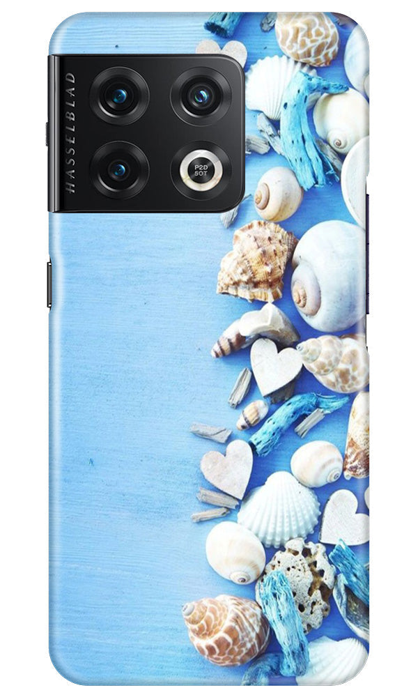 Sea Shells2 Mobile Back Case for OnePlus 10 Pro 5G (Design - 64) Sea Shells2 Case for OnePlus 10 Pro 5G