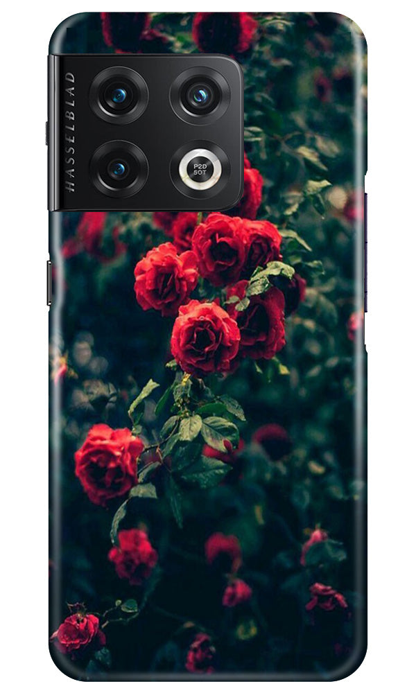Red Rose Mobile Back Case for OnePlus 10 Pro 5G (Design - 66) Red Rose Case for OnePlus 10 Pro 5G
