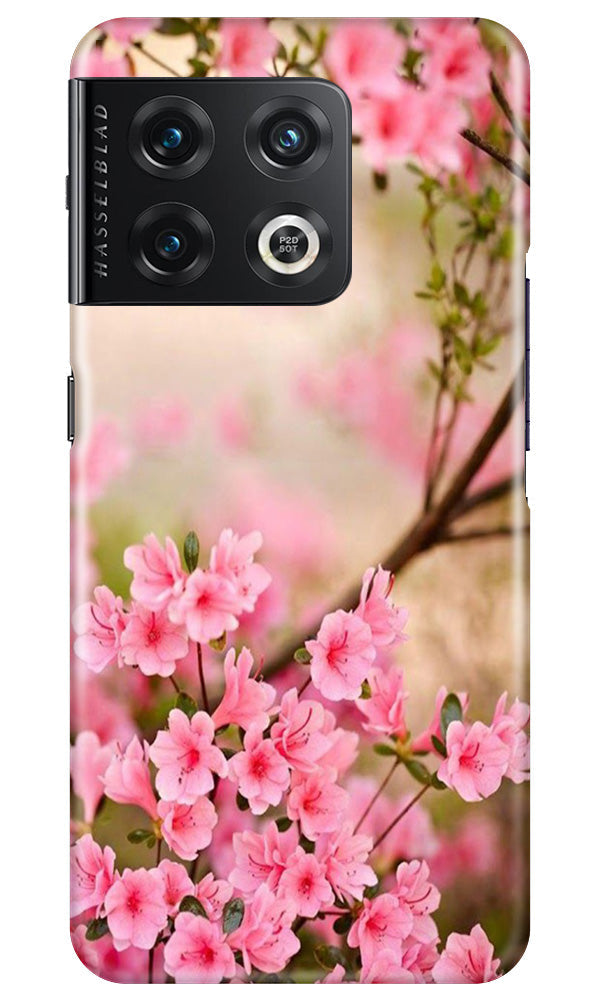 Pink flowers Mobile Back Case for OnePlus 10 Pro 5G (Design - 69) Pink flowers Case for OnePlus 10 Pro 5G