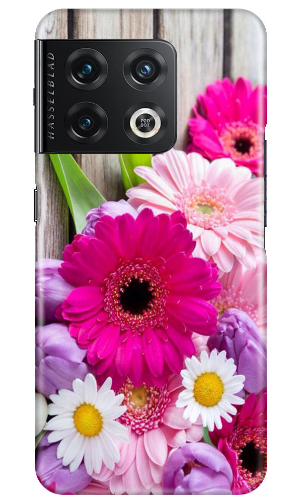 Coloful Daisy2 Mobile Back Case for OnePlus 10 Pro 5G (Design - 76) Coloful Daisy2 Case for OnePlus 10 Pro 5G