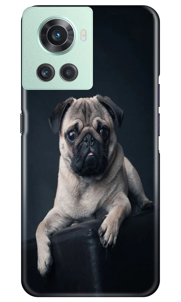 little Puppy Mobile Back Case for OnePlus 10R 5G (Design - 68) little Puppy Case for OnePlus 10R 5G