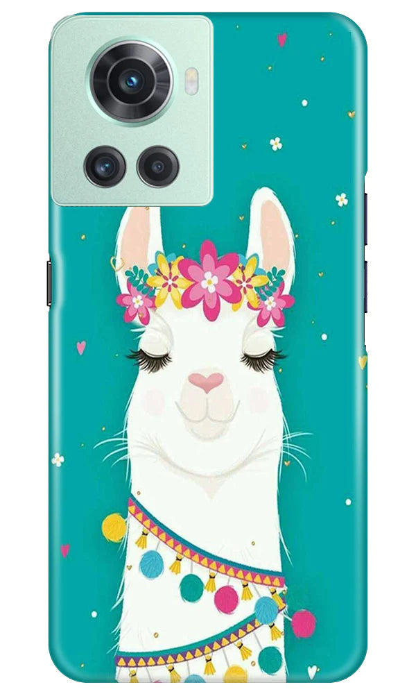 Camel Mobile Back Case for OnePlus 10R 5G (Design - 293) Camel Mobile Back Case for OnePlus 10R 5G (Design - 293)