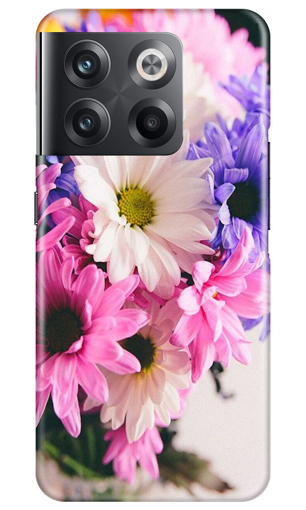 Coloful Daisy Mobile Back Case for OnePlus 10T 5G (Design - 73) Coloful Daisy Case for OnePlus 10T 5G