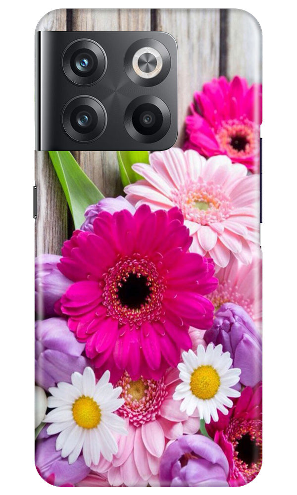 Coloful Daisy2 Mobile Back Case for OnePlus 10T 5G (Design - 76) Coloful Daisy2 Case for OnePlus 10T 5G