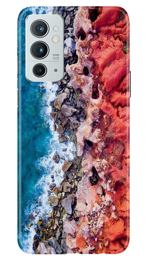 Sea Shore Mobile Back Case for OnePlus 9RT 5G (Design - 242) Sea Shore Case for OnePlus 9RT 5G (Design No. 242)