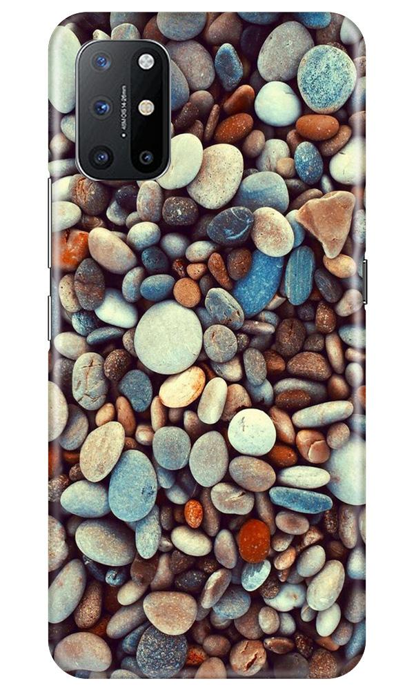 Pebbles Mobile Back Case for OnePlus 8T (Design - 205) Pebbles Case for OnePlus 8T (Design - 205)