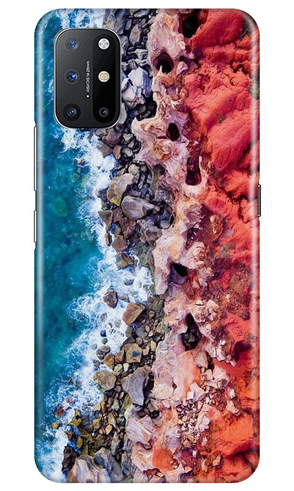 Sea Shore Mobile Back Case for OnePlus 8T (Design - 273) Sea Shore Case for OnePlus 8T (Design No. 273)