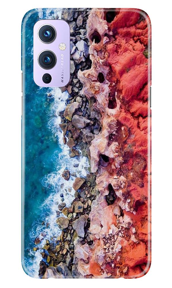 Sea Shore Mobile Back Case for OnePlus 9 (Design - 273) Sea Shore Case for OnePlus 9 (Design No. 273)