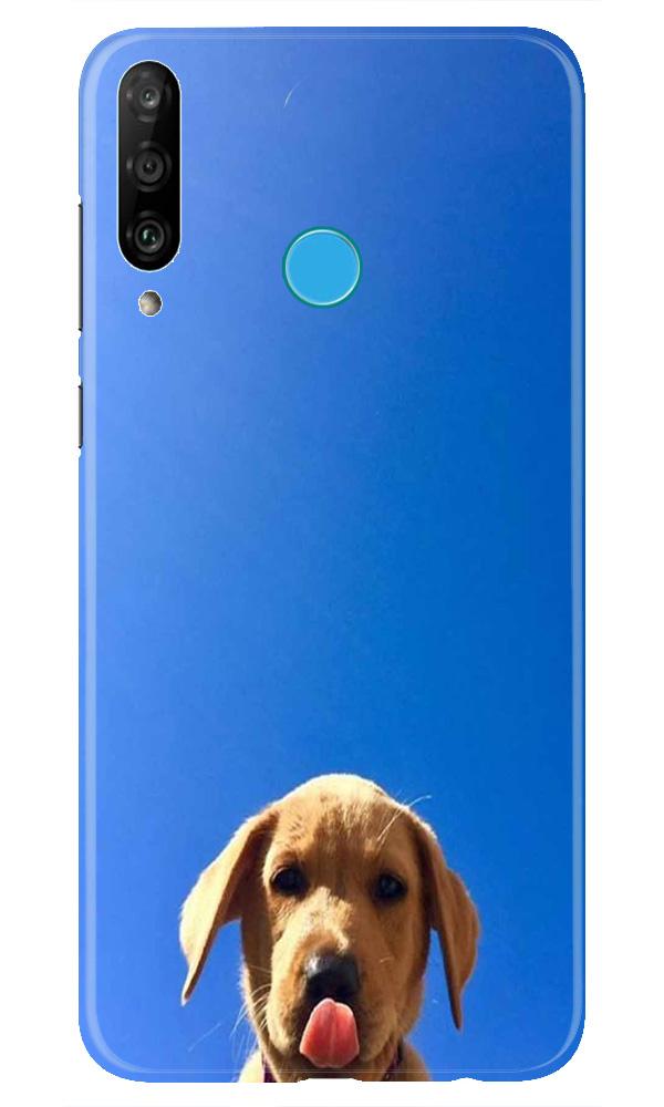 Dog Mobile Back Case for Huawei P30 Lite (Design - 332) Dog Mobile Back Case for Huawei P30 Lite (Design - 332)