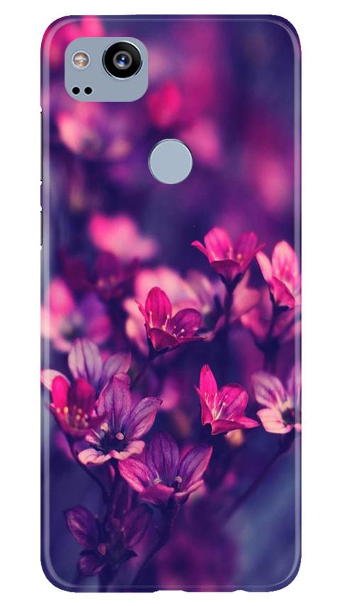 flowers Mobile Back Case for Google Pixel 2 (Design - 25) flowers Case for Google Pixel 2